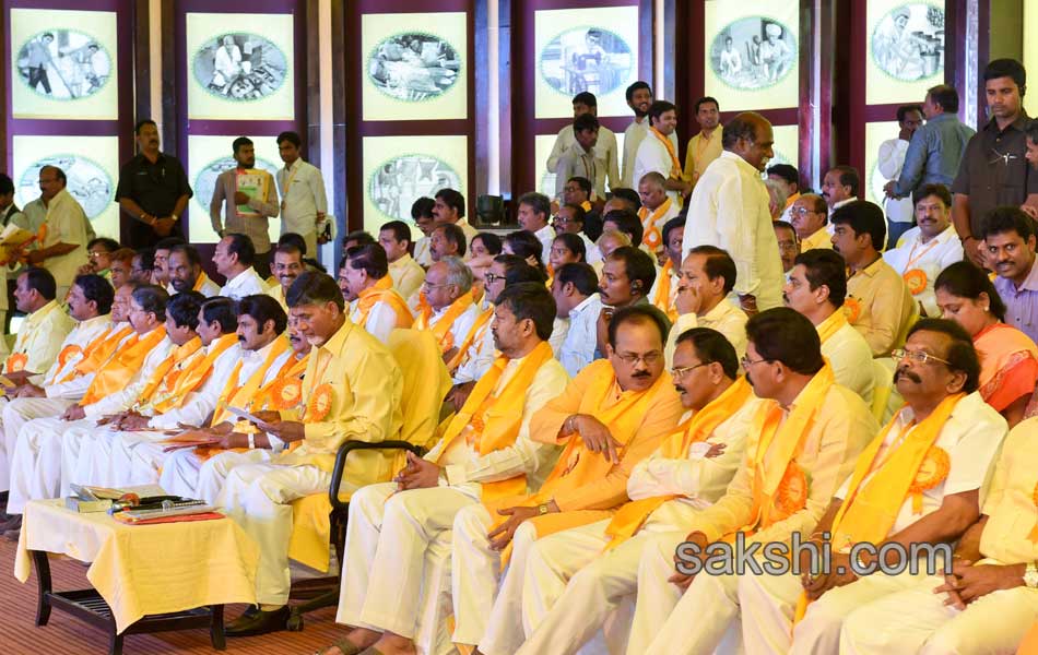 Telugu desam mahanadu - Sakshi2