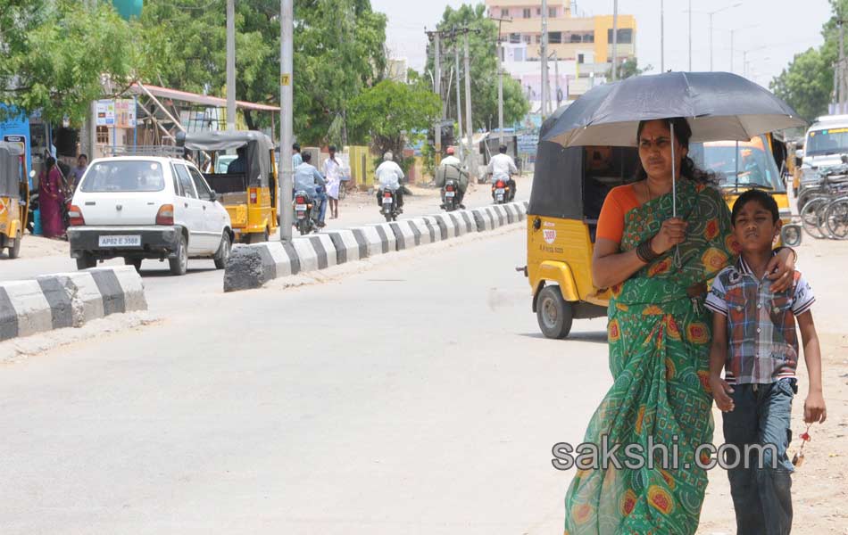 summer  in telangana3