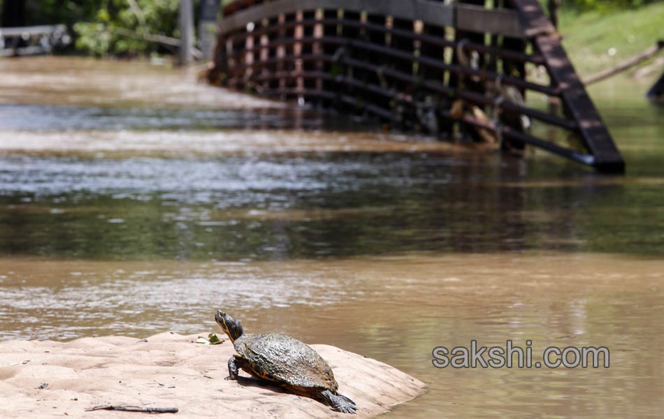 Floods in America - Sakshi1