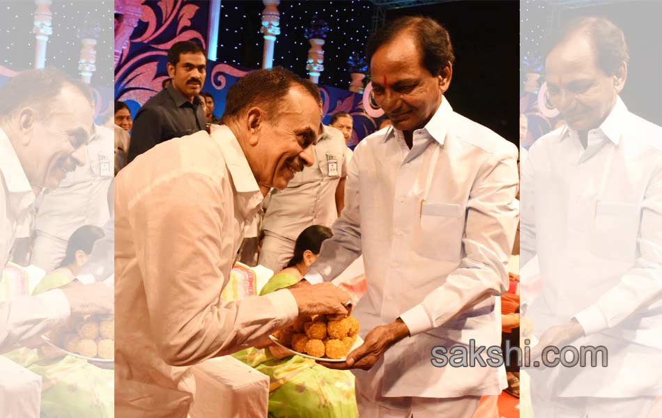 Telangana State formation celebrations - Sakshi9