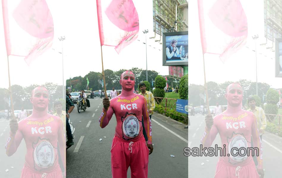 Telangana State formation celebrations - Sakshi31