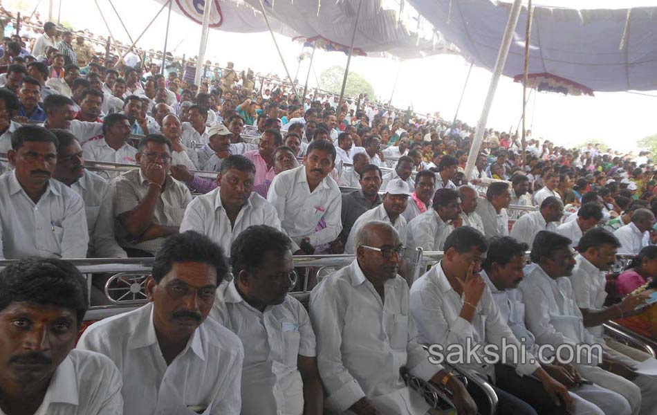 haritha haram in karimnagar8