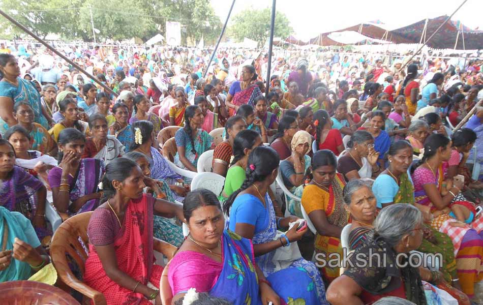 haritha haram in karimnagar9