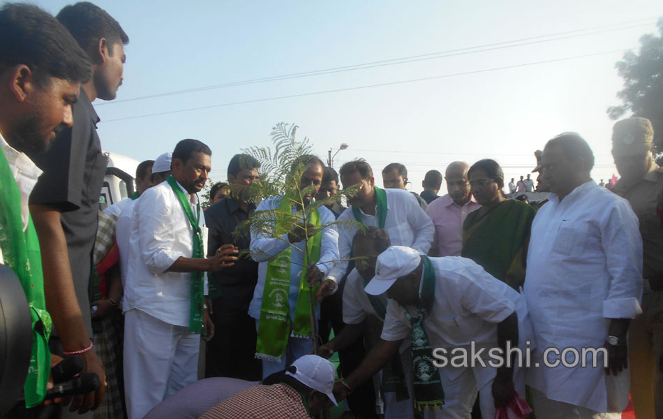 haritha haram in karimnagar12