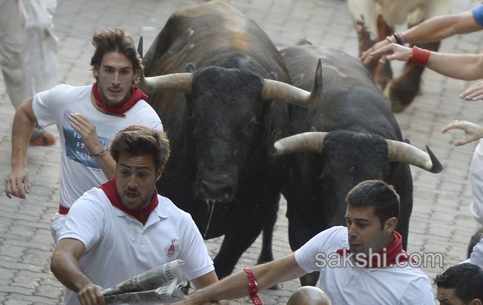 bull run in spain2