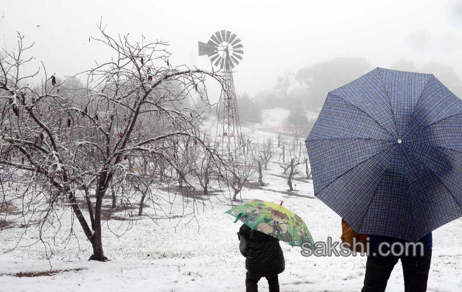 snow fall in New south wales3