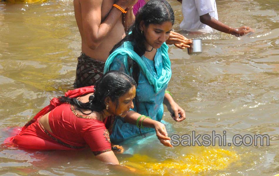 holy pushkaralu comes to seventh day21