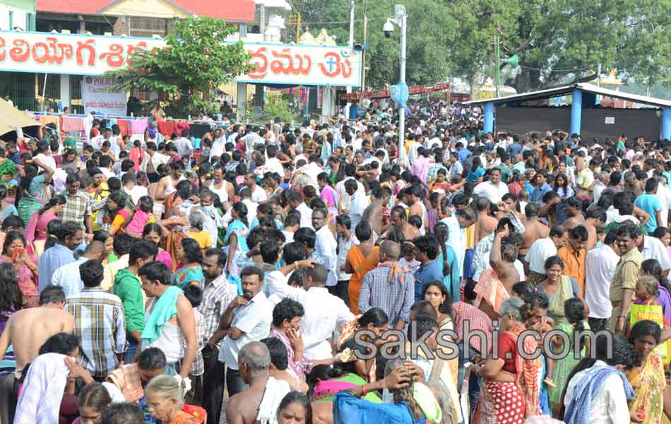 holy pushkaralu comes to seventh day28