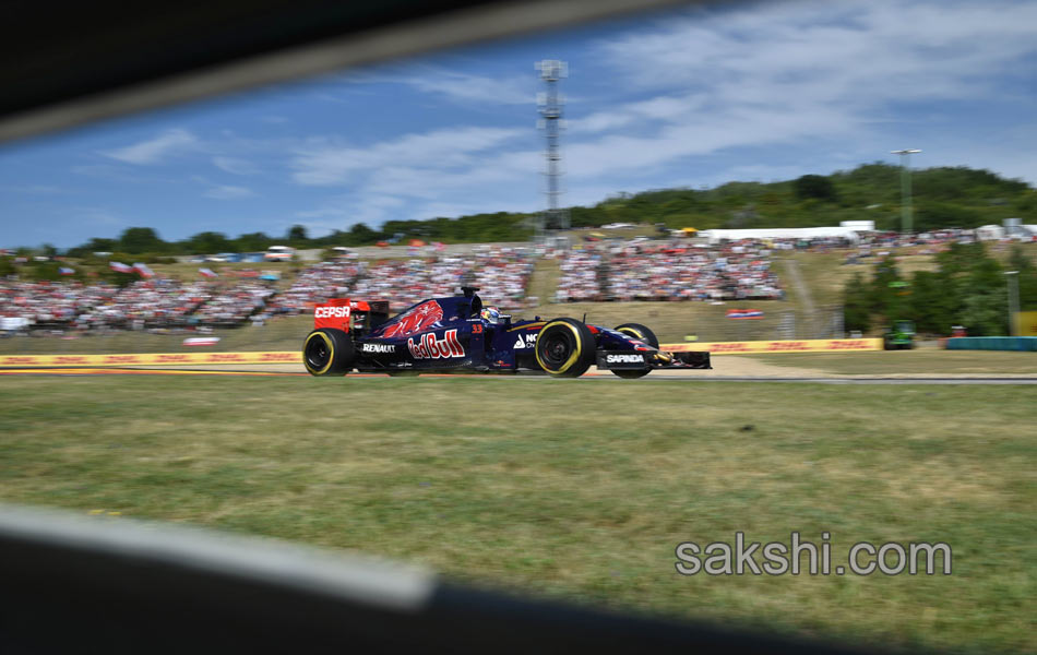 Sebastian Vettel won Hungarian Formula One12