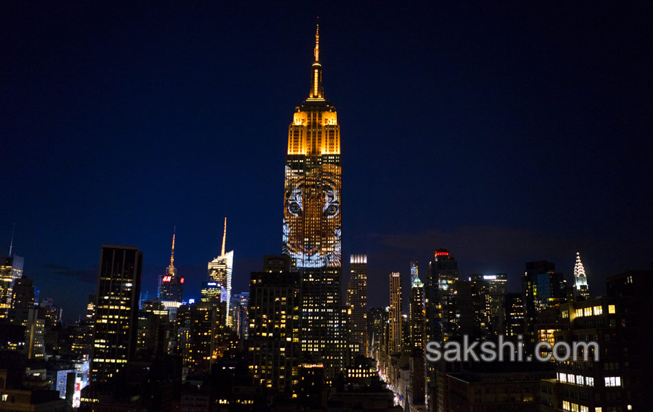 Empire State Building Endangered Species - Sakshi4