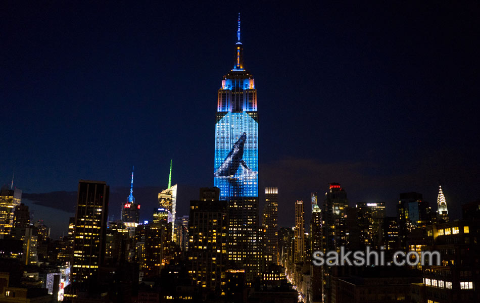 Empire State Building Endangered Species - Sakshi9