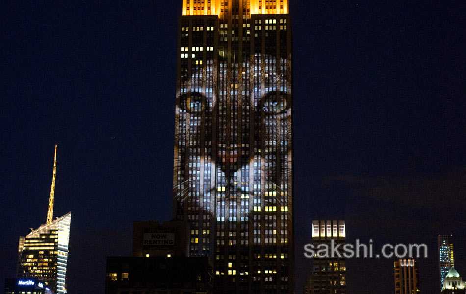 Empire State Building Endangered Species - Sakshi16