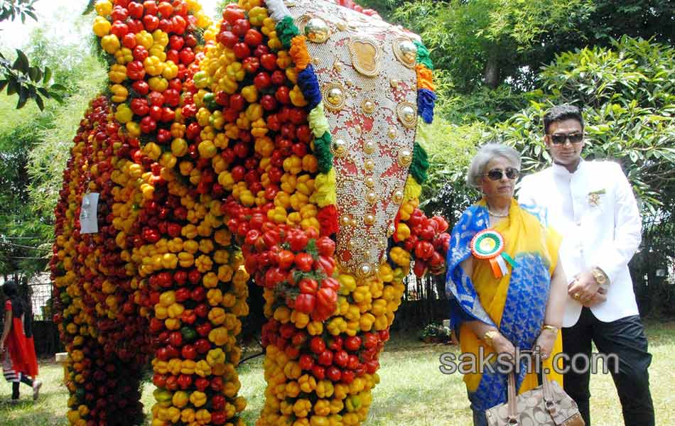 flower show in bangalore5