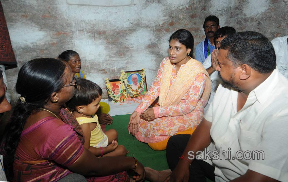 ys sharmila 3rd day paramarsha yatra in warangal distirict6