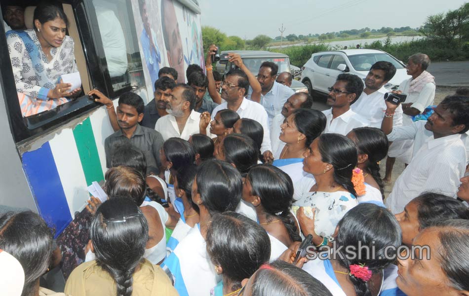 ys sharmila 3rd day paramarsha yatra in warangal distirict4