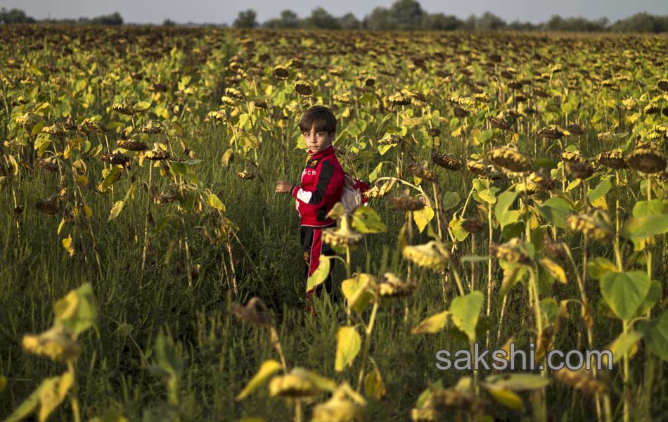 Serbia Hungary Migrants12