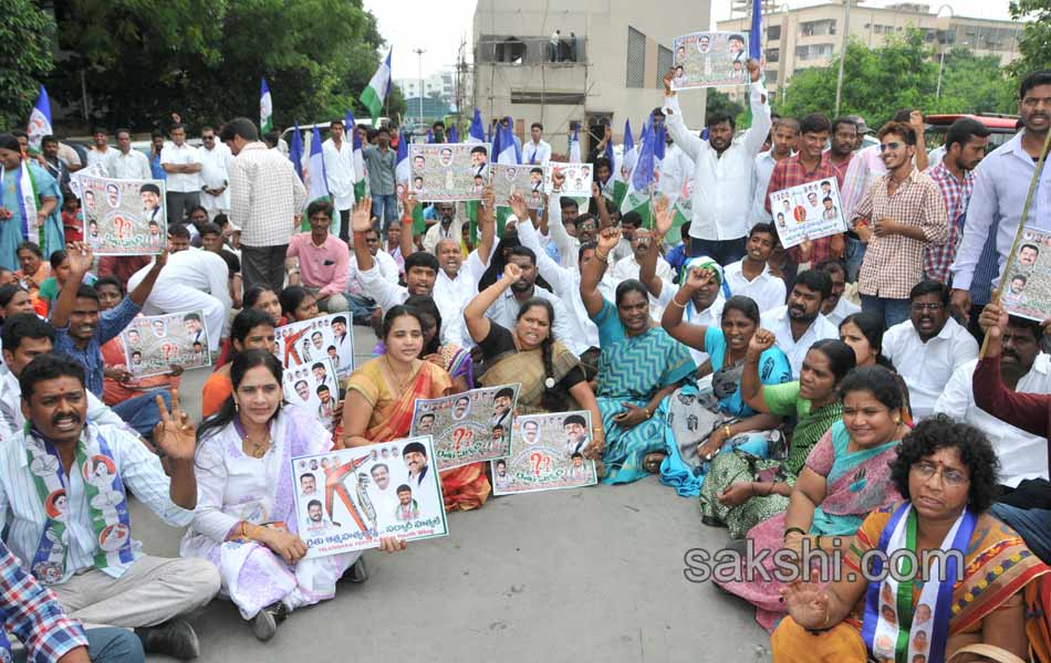 YSR congress dharna - Sakshi5