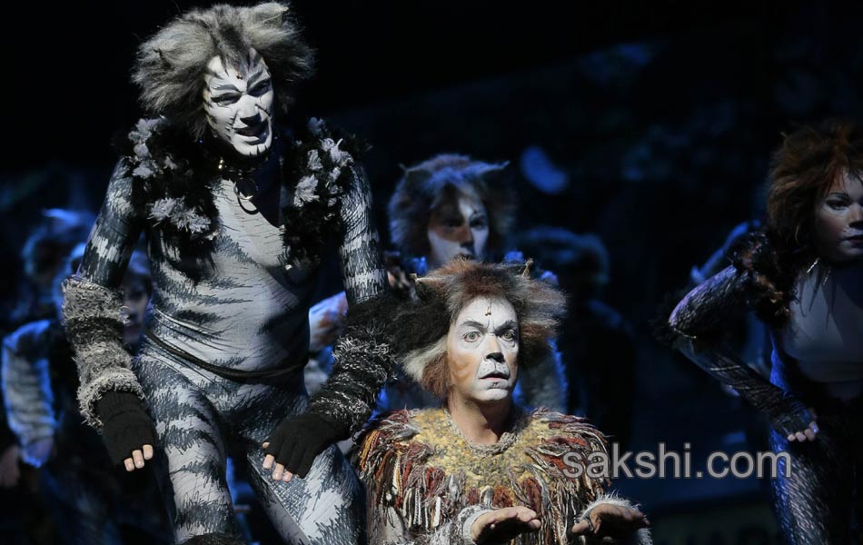 Paris musical Cats6