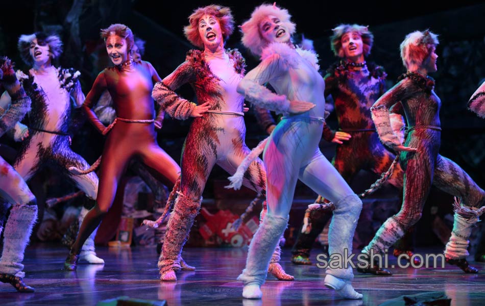 Paris musical Cats9