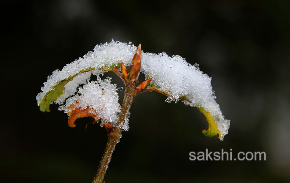 Snow fall in germany2