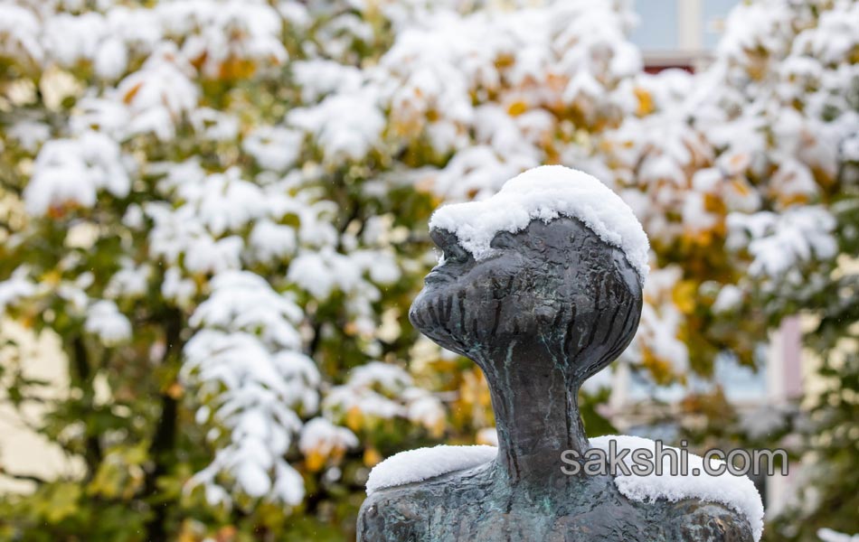 Snow fall in germany7