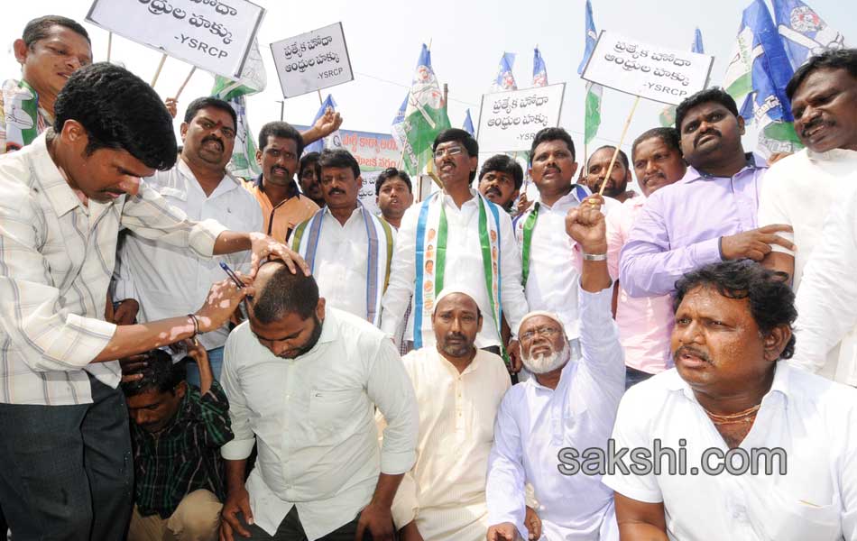 YSCP protesting on status - Sakshi4