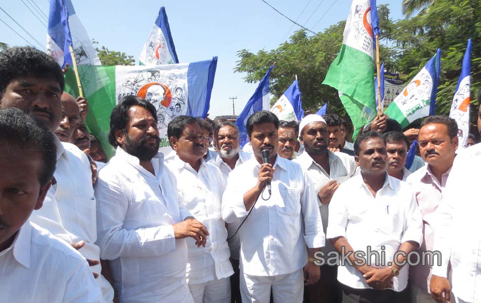 YSCP protesting on status - Sakshi11