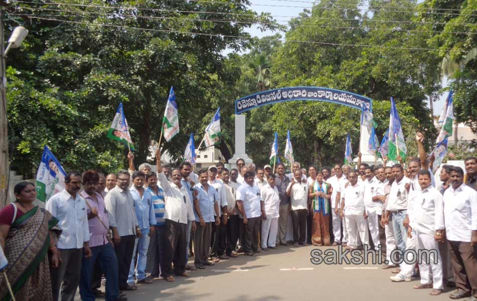 YSCP protesting on status - Sakshi14