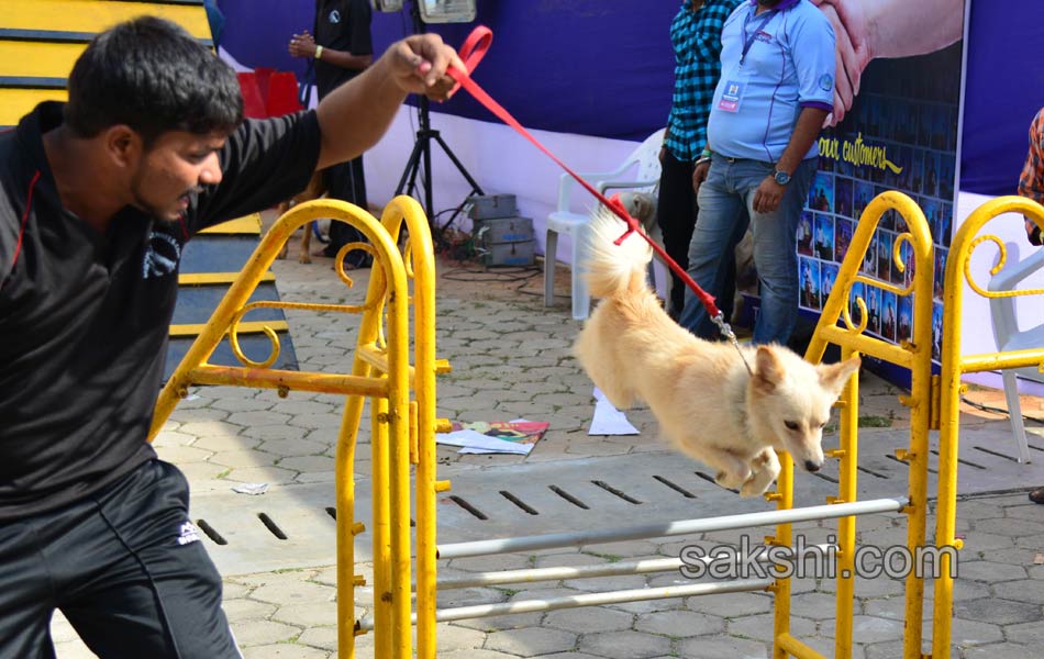 Cute Dog Show - Sakshi5