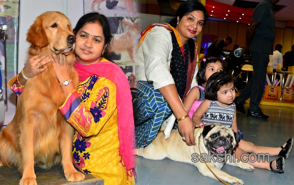 Cute Dog Show - Sakshi12