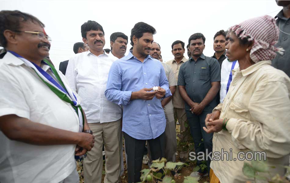 good response to ys jagan mohan reddy election campaign in warangal - Sakshi19