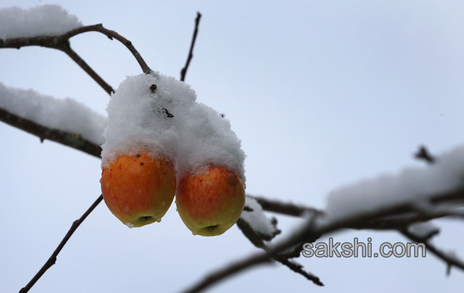 SNOW FALL GERMANY19