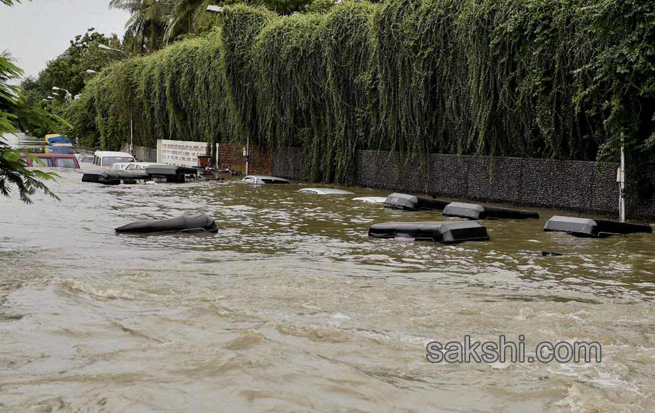 chennai submerged in rain water5