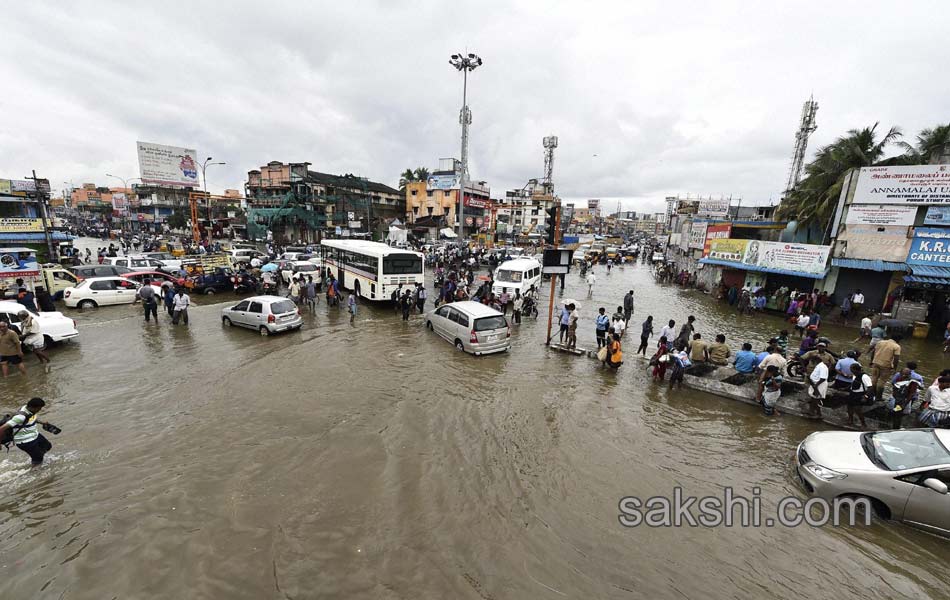 chennai submerged in rain water13