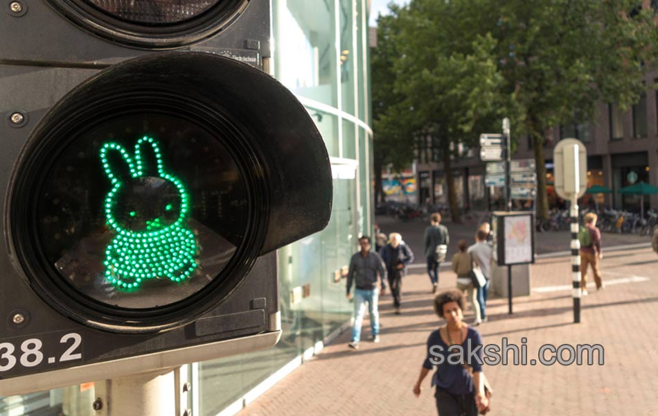 wonderful traffic signals around the world6