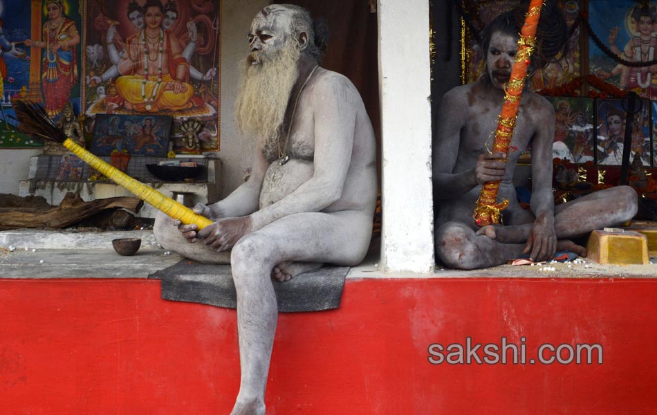 Holy dip in Gangasagar9