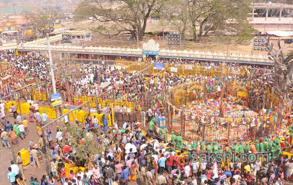 grand lunch to medaram jatara13