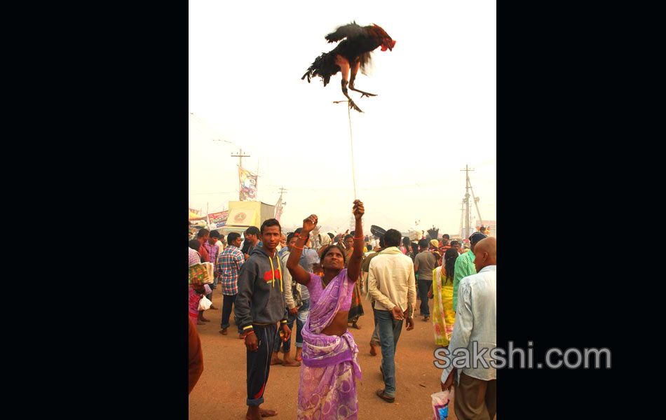 All Roads Lead to Medaram Jatara14