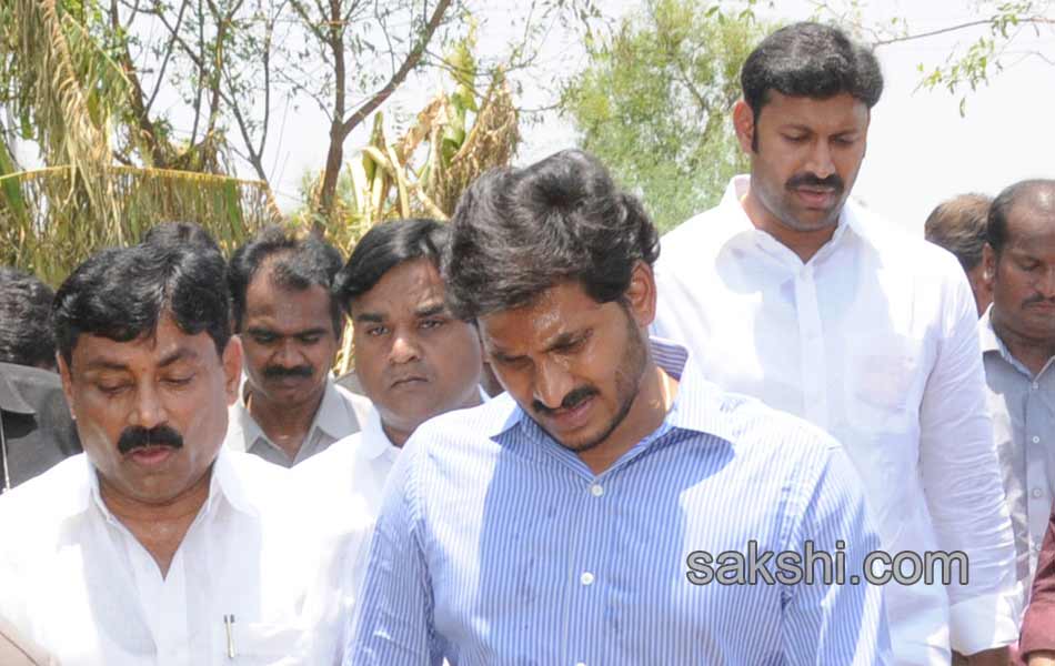 ys jaganmohan reddy tour in  pulivendula - Sakshi8