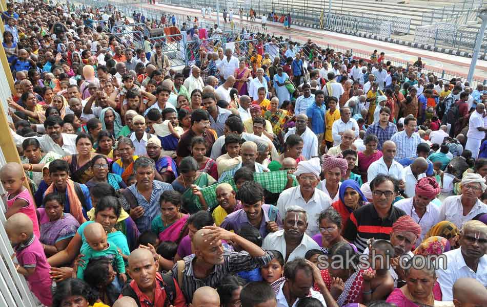 heavy rush in tirumala6