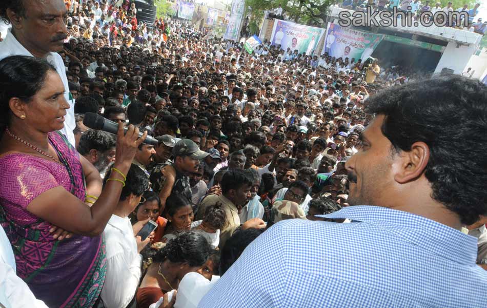 YS Jagan Mohan Reddy  raithu barosa yatra in anantapur district - Sakshi27