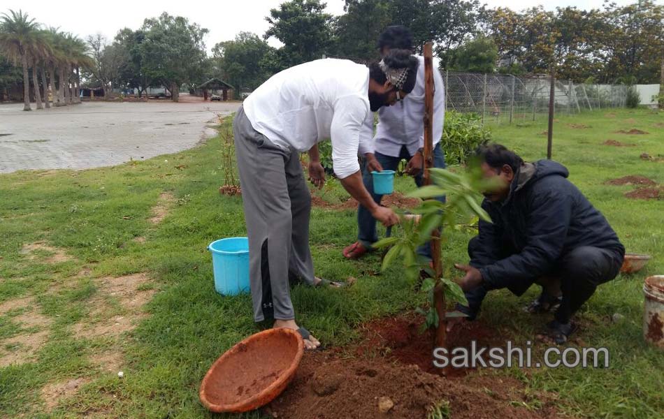 tollywood actors and actresses participate in telangana haritha haaram - Sakshi5