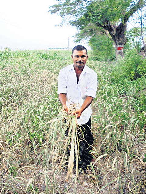 DROUGHT IN PRAKASAM4