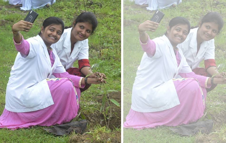 selfi with tree plant - Sakshi1