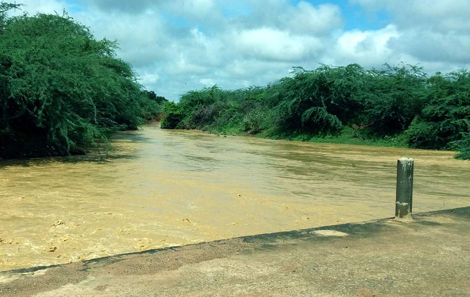 rain in kurnool district - Sakshi10