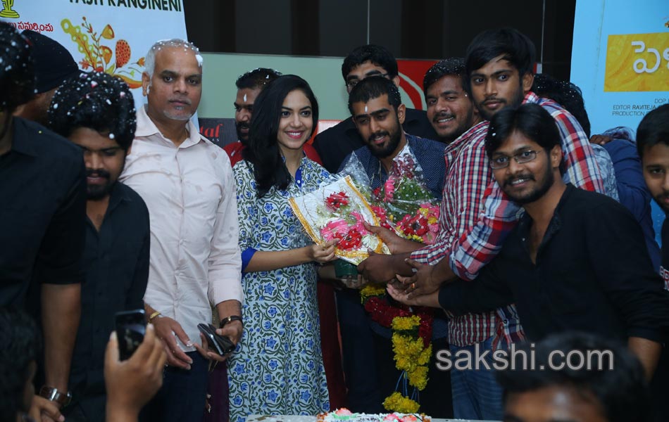 pellichupulu press meet13