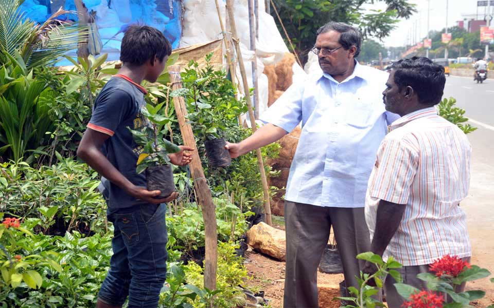 Kadiyam nurseries at Nellore - Sakshi3