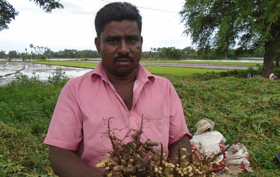 heavy rains swalloed fields - Sakshi5