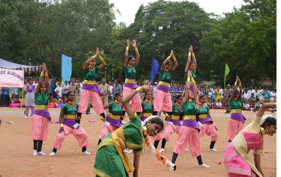 national flag celebrate - Sakshi17