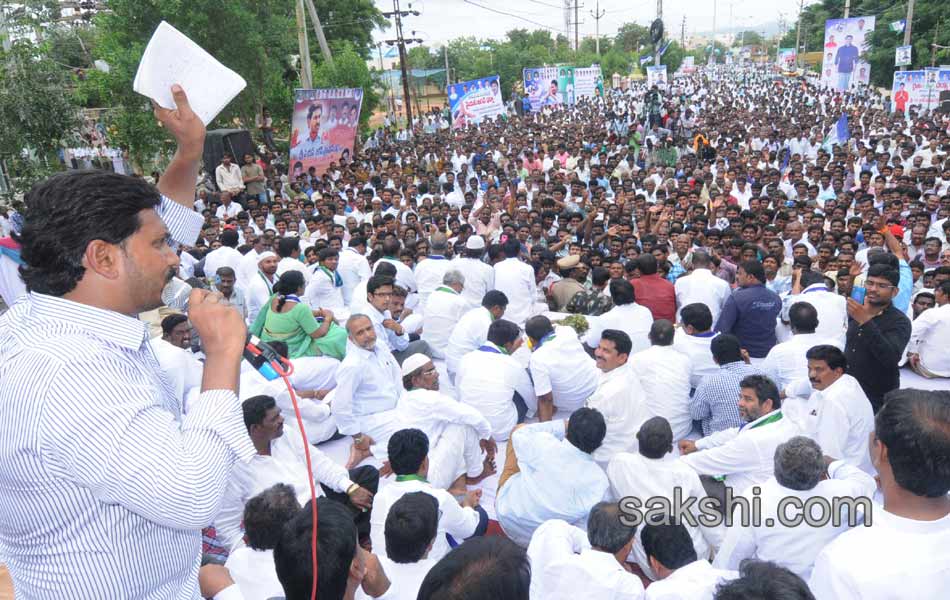 YS Jagan mohan reddy raithu maha dharna in YSR - Sakshi14